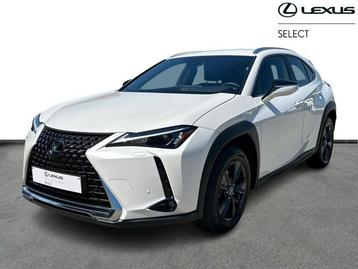 Lexus UX 250h Business Line & CARPLAY  beschikbaar voor biedingen