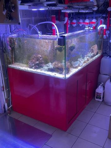 Aquarium avec décante arrière et meuble beschikbaar voor biedingen