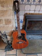 12 snarige Eko 'ranger' gitaar van de sixties, Ophalen of Verzenden, Gebruikt, Western- of Steelstringgitaar, 12-snarig