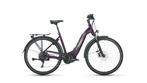 E-Bike Victoria Tresalo, Fietsen en Brommers, Ophalen, Nieuw, 50 km per accu of meer, Overige merken