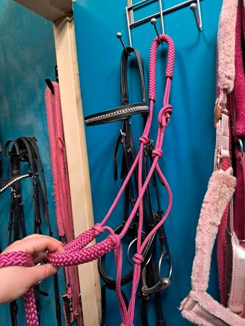 Licol en corde rose avec corde., Enlèvement ou Envoi, Neuf, Récréation