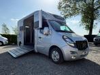 KLASSE PAARDENWAGEN STX HORSEBOX HENGST 3XL 44d KM 2020, Ophalen, Zo goed als nieuw, Overige materialen, Overige typen