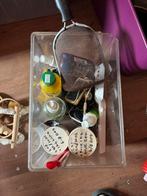 Alles voor terrariums, Ophalen, Gebruikt, Terrarium of Paludarium