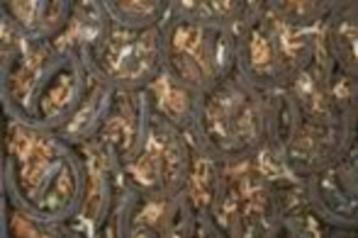 Gebruikte hoefijzers beschikbaar voor biedingen