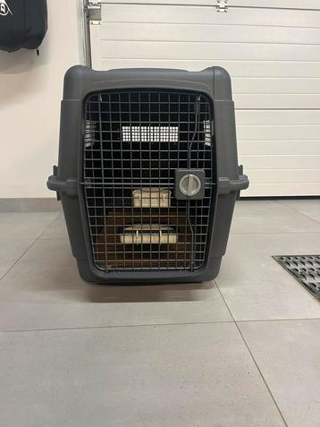 AniOne transportbox Large beschikbaar voor biedingen