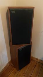 Vintage Infinity 1001A woofers, Ophalen, Gebruikt, Subwoofer