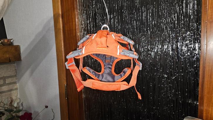 Hondentuig, Dieren en Toebehoren, Honden-accessoires, Nieuw, Ophalen of Verzenden