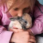 3 schattige baby konijntjes te koop, Dieren en Toebehoren, Konijnen