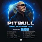 1 ticket Pitbull Sportpaleis 14-06-2025 top plaats Podium, Tickets en Kaartjes, Concerten | Pop