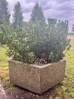 Silex bloembak, Ophalen, Gebruikt