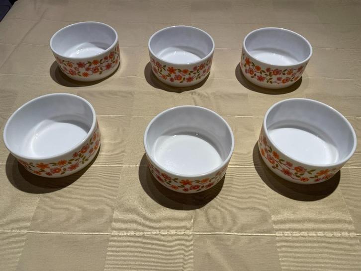 6 identieke kommen Arcopal VINTAGE, Verzamelen, Retro, Huis en Inrichting, Ophalen of Verzenden