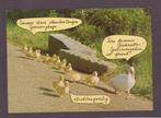 GANS  met  KUIKENS  + Mooie postzegel !, Verzamelen, Postkaarten | Dieren, Gelopen, Vogel, Verzenden, 1980 tot heden