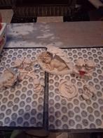 Engeltjes lot, Ophalen