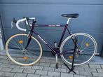 Giant Peleton 7000, Fietsen en Brommers, Ophalen, 28 inch, Gebruikt, Staal