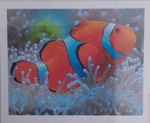 Diamond Painting - Ronde Steentjes - Vis - 40 x 30 Cm, Hobby en Vrije tijd, Knutselen, Nieuw, Knutselwerk, Ophalen of Verzenden