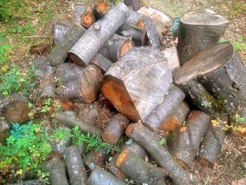 Kersenhout 1m3 ruilen tegen isolatiemateriaal 1m3 beschikbaar voor biedingen