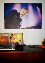 Diverse concertfoto's op alu 60 x 90 cm, Ophalen of Verzenden, Nieuw