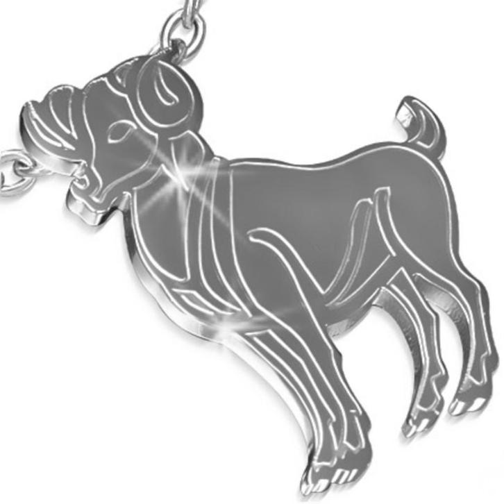 Ram horoscoop / sterrenbeeld hanger in edelstaal, Handtassen en Accessoires, Kettinghangers, Nieuw, Ophalen of Verzenden