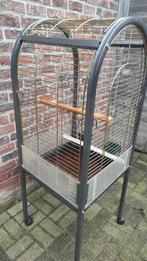 Perroquet en cage à oiseaux, Enlèvement, Utilisé, Métal, Cage à oiseaux
