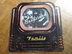 Family, Cd's en Dvd's, Vinyl | Rock, Ophalen of Verzenden, Gebruikt, 12 inch, Rock-'n-Roll