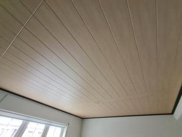 plafond hoge kwaliteit 