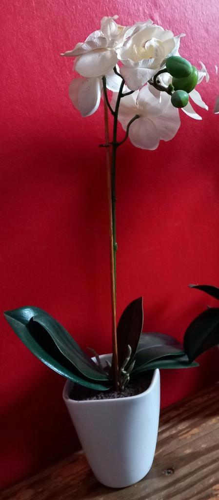 Orchidée blanche -> 3€, Maison & Meubles, Accessoires pour la Maison | Plantes & Fleurs artificielles, Comme neuf, Intérieur, Extérieur