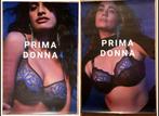Affiche lingerie, Ophalen of Verzenden, Deurposter of groter, Rechthoekig Staand