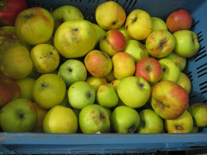 appels, Diversen, Levensmiddelen, Ophalen