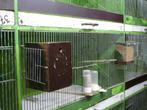 J'arrete l'hobby batteries de 12 cages d'élevage, Animaux & Accessoires, Oiseaux | Cages & Volières, Enlèvement