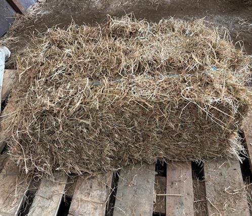Onkruidvrij hooi - kleine botten, Dieren en Toebehoren, Paarden en Pony's | Overige Paardenspullen, Nieuw, Overige soorten, Ophalen