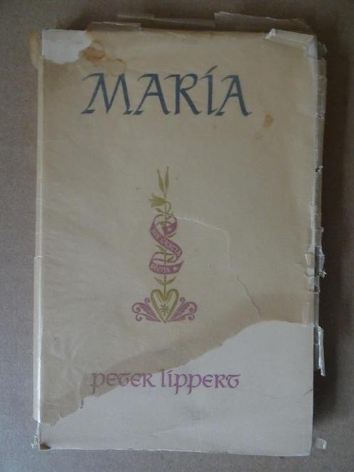 Peter Lippert Maria 1e druk 1954 Ongelezen boek over Maria, Boeken, Godsdienst en Theologie, Zo goed als nieuw, Christendom | Katholiek