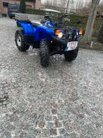 Yamaha Grizzly 450 2007, Motos, Quads & Trikes