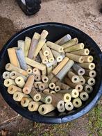 Bacteria home 16cm staven, Ophalen