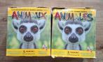 Panini 2 dozen van 50 dierenzakjes 2020 dieren, Verzamelen, Stickers, Ophalen of Verzenden, Gebruikt