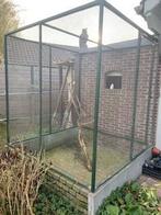 volière, Dieren en Toebehoren, Ophalen of Verzenden, Gebruikt, Aluminium, Volière