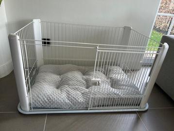 Mooie honden bench beschikbaar voor biedingen