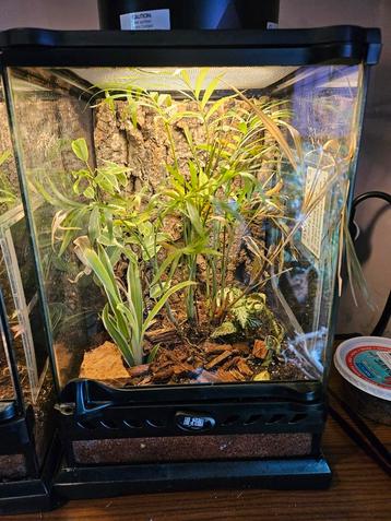 Terrarium/vivarium, Enlèvement, Comme neuf