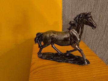 zeer trots paard beschikbaar voor biedingen