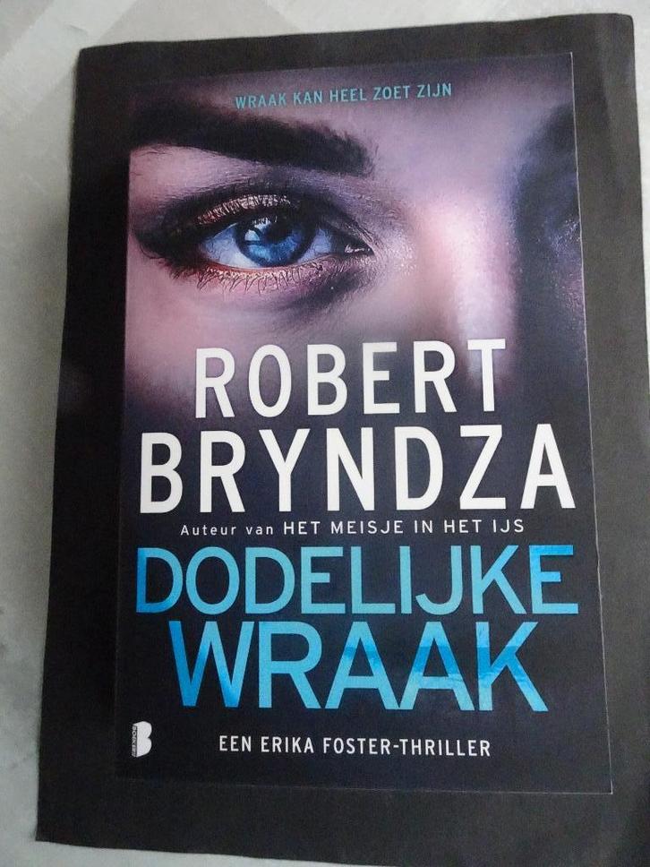 4 BOEKEN VAN ROBERT BRYNDZA, Boeken, Literatuur, Zo goed als nieuw, Ophalen of Verzenden
