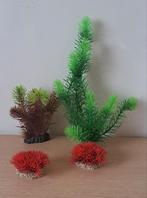 Aquarium planten, Ophalen, Zo goed als nieuw, Plant(en), Steen of Hout