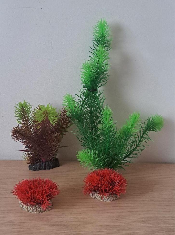 Aquarium planten, Dieren en Toebehoren, Vissen | Aquaria en Toebehoren, Zo goed als nieuw, Plant(en), Steen of Hout, Ophalen