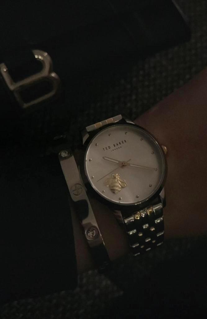 Horloge Ted Baker, Handtassen en Accessoires, Horloges | Dames, Nieuw, Polshorloge, Overige merken, Staal, Staal, Ophalen of Verzenden