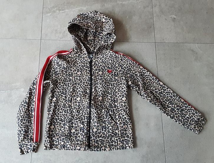 Mooie trui /Gilet met kap mt 158 / 164 *Coolcat* H.g.staat, Kinderen en Baby's, Kinderkleding | Maat 158, Zo goed als nieuw, Meisje