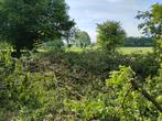 Brandhout, Tuin en Terras, Brandhout, 6 m³ of meer, Ophalen