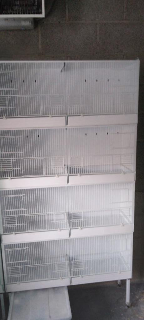 Domus molinari kweekkooien, Dieren en Toebehoren, Vogels | Hokken en Kooien, Zo goed als nieuw, Broedkooi of Kweekkooi, Metaal