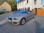 Bmw 220d luxury uitvoering reeds gvv!!, Auto's, BMW, Automaat, Achterwielaandrijving, Euro 6, 4 cilinders