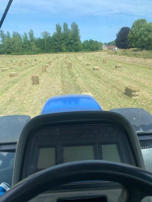 Hooi af land in kleine balen, Dieren en Toebehoren, Paarden