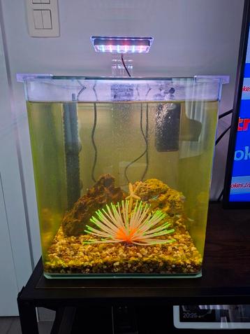 Aquarium complet, Enlèvement, Comme neuf, Aquarium d'eau douce rempli