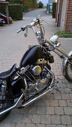 Ironhead Harley-Davidson, Particulier
