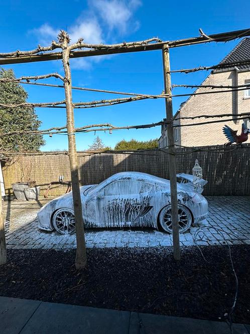 LUXE handwas binnen/buiten, Auto diversen, Carkits, Nieuw, Ophalen